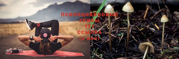 не бодяженный Касимов